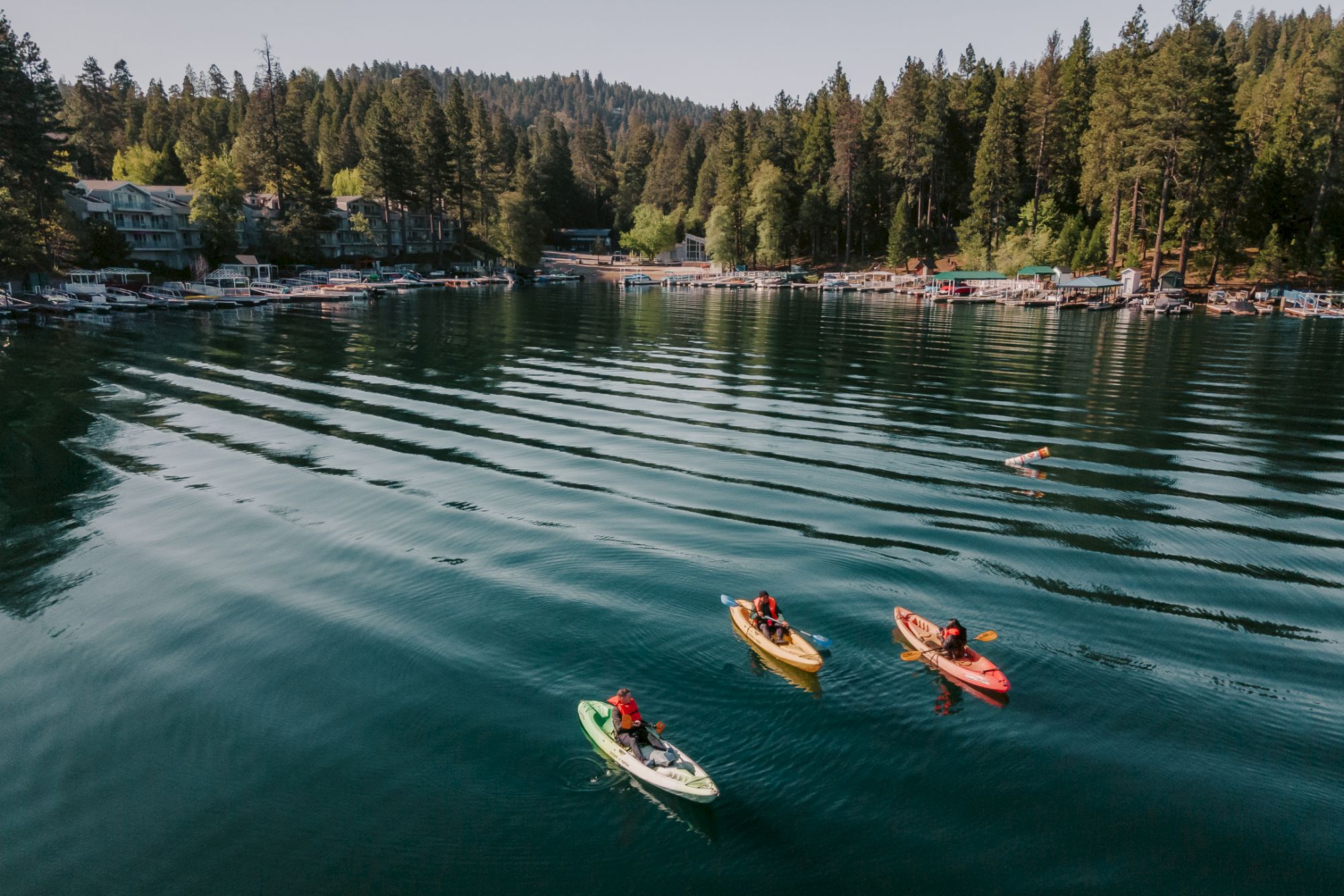 Kayakers paddle on a calm lake beside a forested shoreline with docks and cabins.
