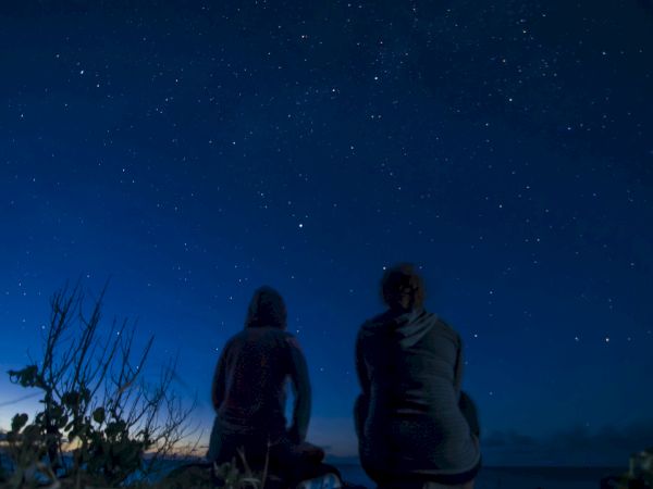 Two people sit by a field at night, gazing up at a vast star-filled sky glowing in deep blue.