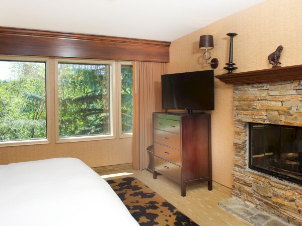 Bedroom with large windows, a dresser and TV, curtains, and a stone fireplace on the right.