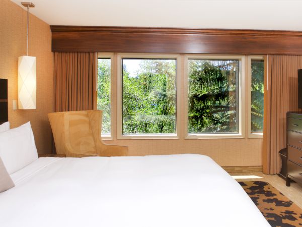A bright hotel bedroom with a large bed, curtains, three windows showing trees, a floor lamp, and a dark dresser.