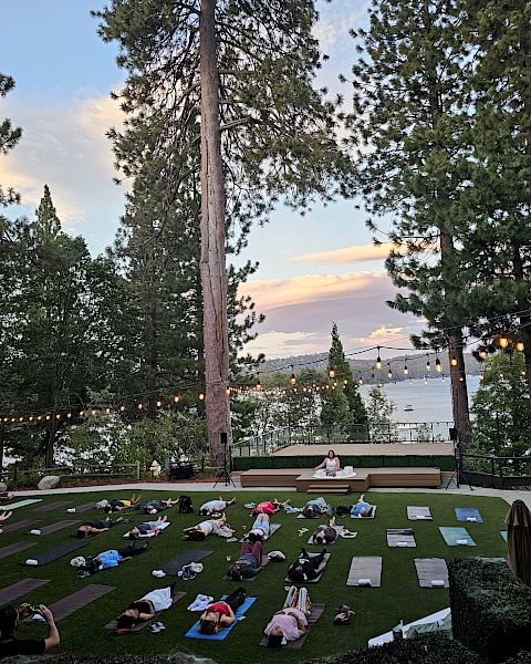 Outdoor yoga in a grassy lawn at sunset, with people on mats, string lights, tall pine trees, and a lake and hills in view.