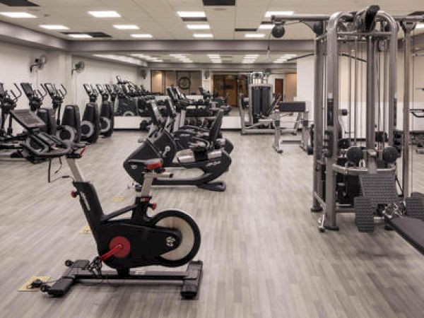 A well-equipped gym with various exercise machines and weights.