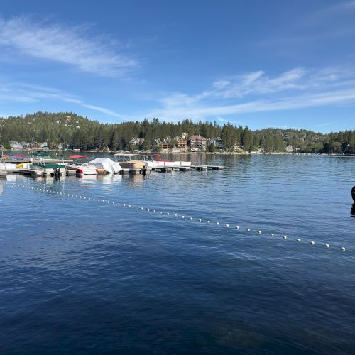 A calm lakeside marina with docked boats, mooring buoys, evergreen shoreline homes, and a wide blue sky with wispy clouds.