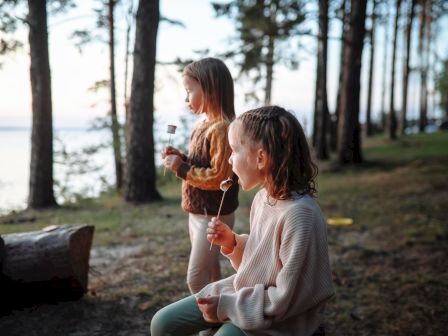 A child in a park holds a marshmallow on a stick while another roasts one near a campfire by the water.