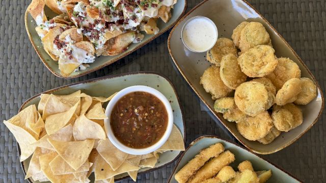 Overhead view of loaded nachos with sour cream, bacon bits, and chives, plus tortilla chips, fries, and dipping sauces.