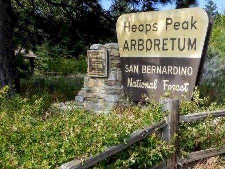 A sign at Heaps Peak Arboretum in San Bernardino National Forest, surrounded by greenery and a wooden fence.