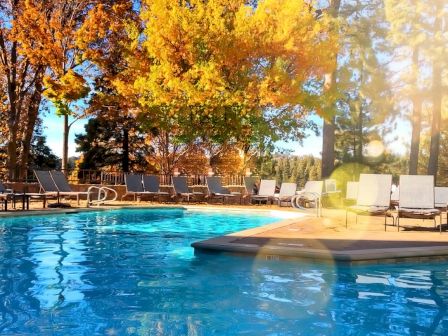 An outdoor swimming pool at a resort, with lounge chairs lined up beside it and golden autumn trees in the sunny background.