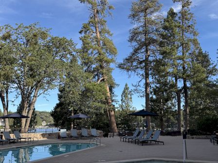 An outdoor pool with lounge chairs and umbrellas beneath tall trees under a bright blue sky.