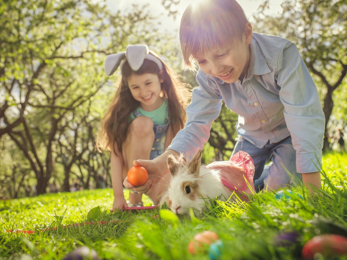 Two children are playing with a bunny and colorful eggs on grass in a sunny park.