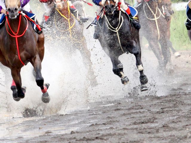 Horses racing on a muddy track, with splashes of water and dirt, ridden by jockeys in colorful attire.