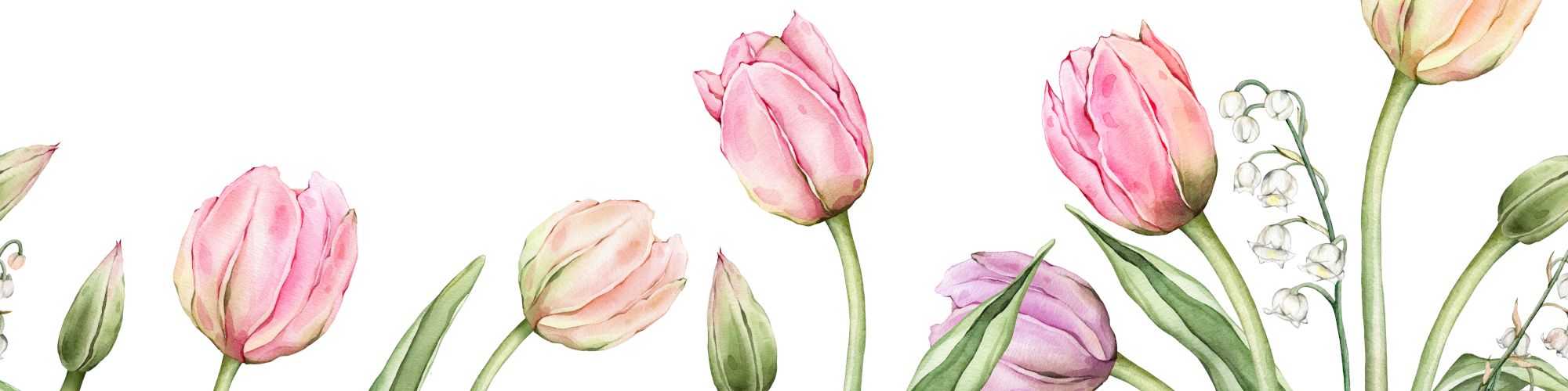 Watercolor illustration of pink, purple, and peach tulips with green leaves on a white background, surrounded by delicate lily of the valley flowers.