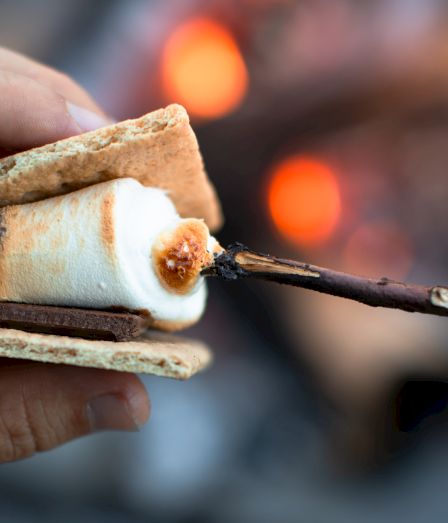 A hand holds a s'more near a campfire, with a toasted marshmallow on a stick placed between graham crackers and chocolate.