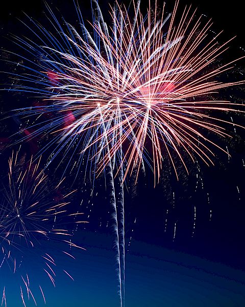 A vibrant burst of fireworks illuminates the night sky over a silhouetted landscape, adding vivid colors to the serene backdrop of dusk.