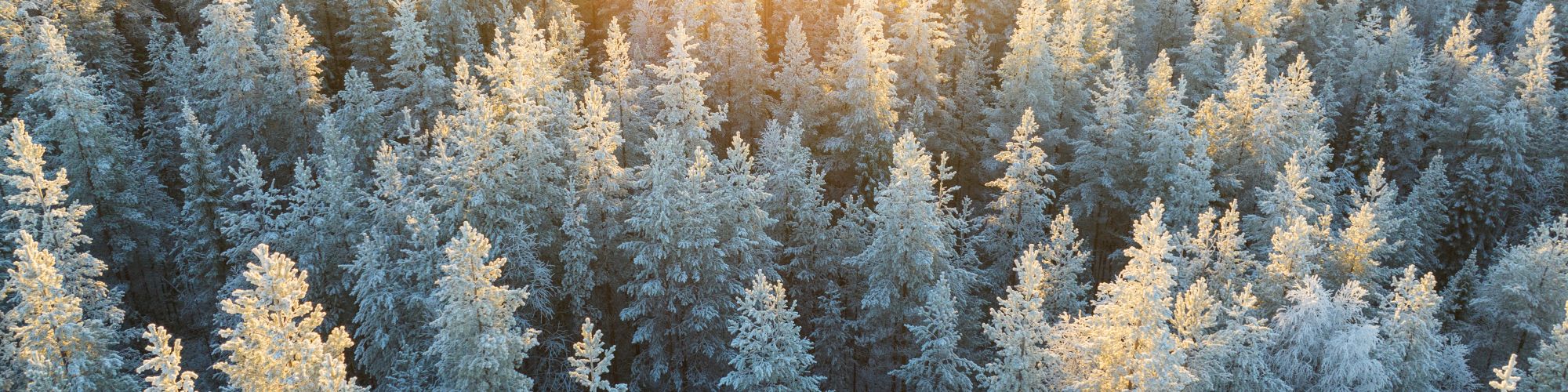 Lake Arrowhead Resort & Spa