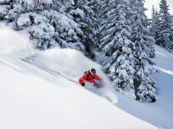 A skier in red gear glides down a snowy slope, surrounded by snow-covered trees under a clear sky.