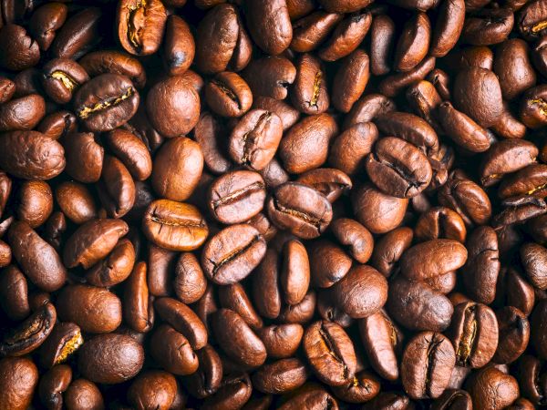 This image shows a close-up of roasted coffee beans, displaying their rich brown color and smooth texture.