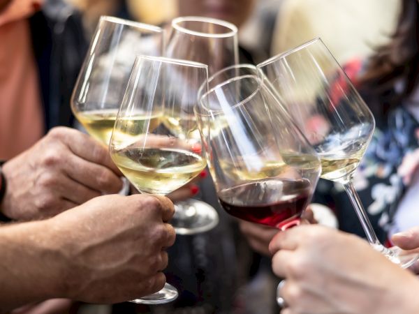 A group clinks wine glasses in a toast, raising white and red wine in a casual social gathering.