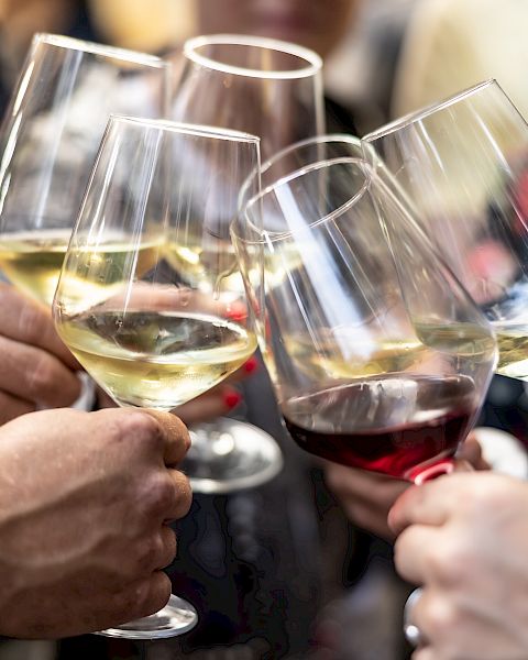 A group toasting with wine glasses, clinking in celebration. Cheers to friendship and moments shared together.