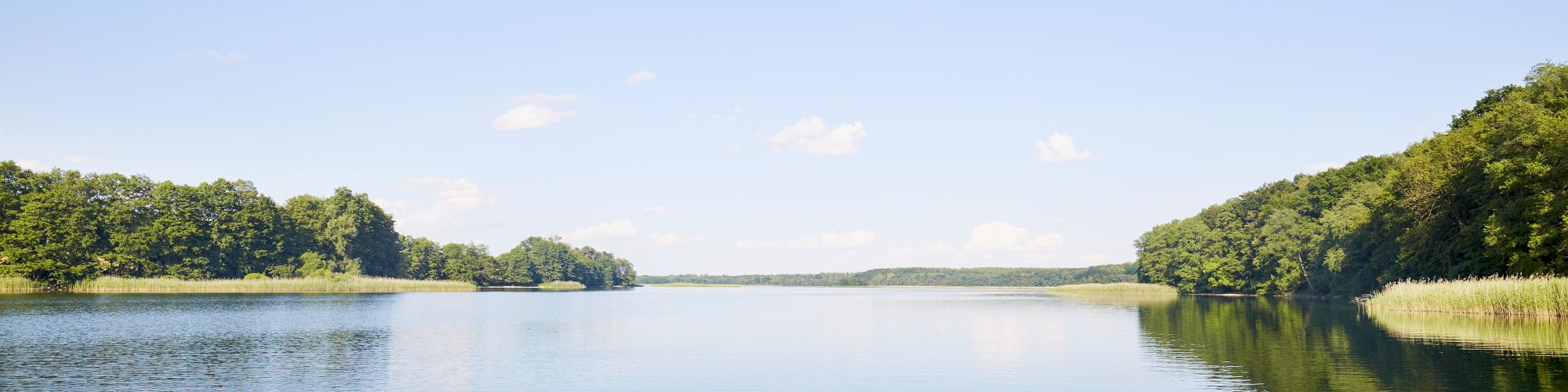 A calm river stretches wide between green forested banks, reflecting a clear blue sky with a few scattered clouds.