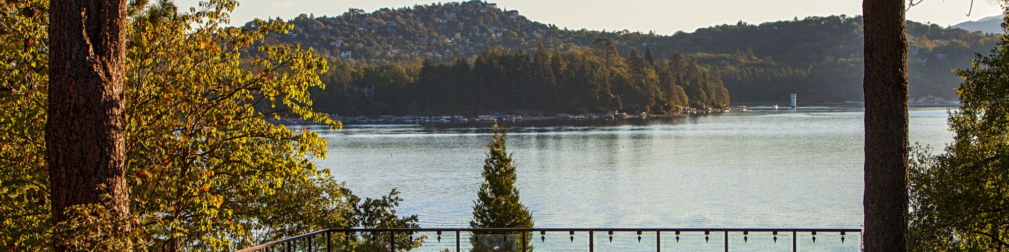 An outdoor wooden deck with drinks sits beneath pine trees, overlooking a calm river/lake and wooded hills in warm sunlight.